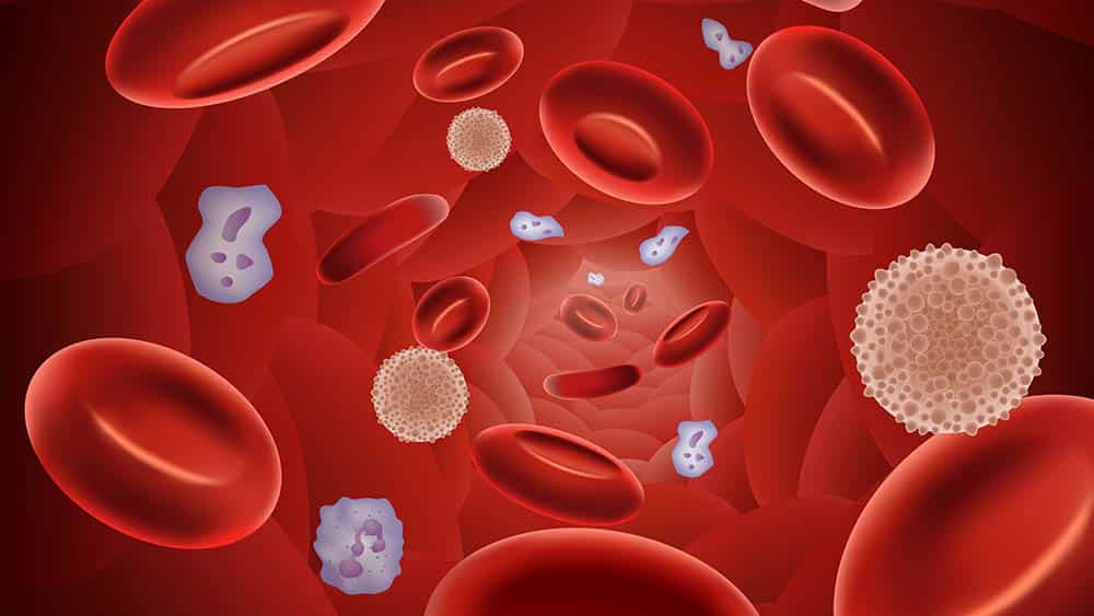 Hemofilia: A Importância da Profilaxia com Fatores de Coagulação